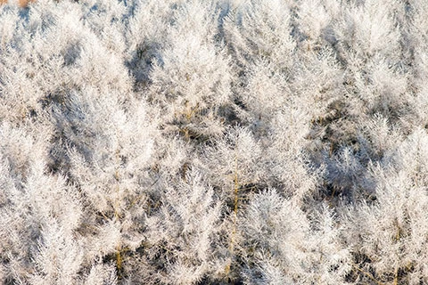 Aerial fotografie winter sneeuw
